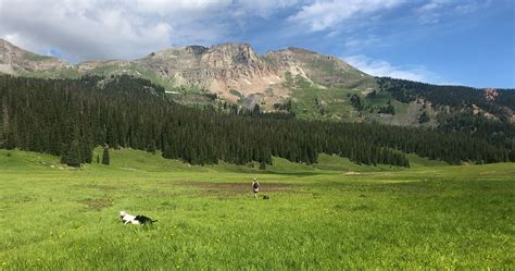 Tranquility Unleashed: Journeying Through Telluride's Meadow Track